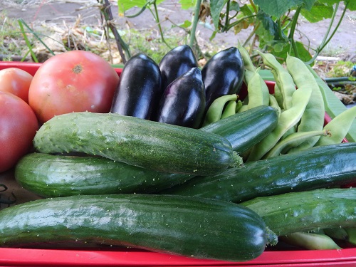 野菜詰め合わせ