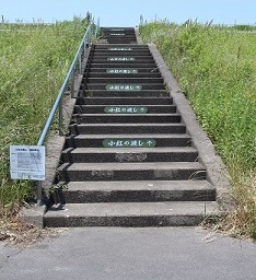 11渡しの階段.jpg