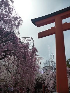 P1040125ss.jpg