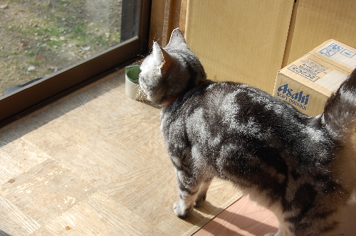 DSC_0033.JPG