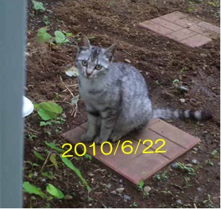20120803_3.jpg