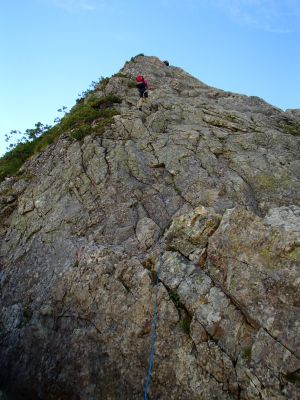 8.25kennsuikakou 2mine.jpg