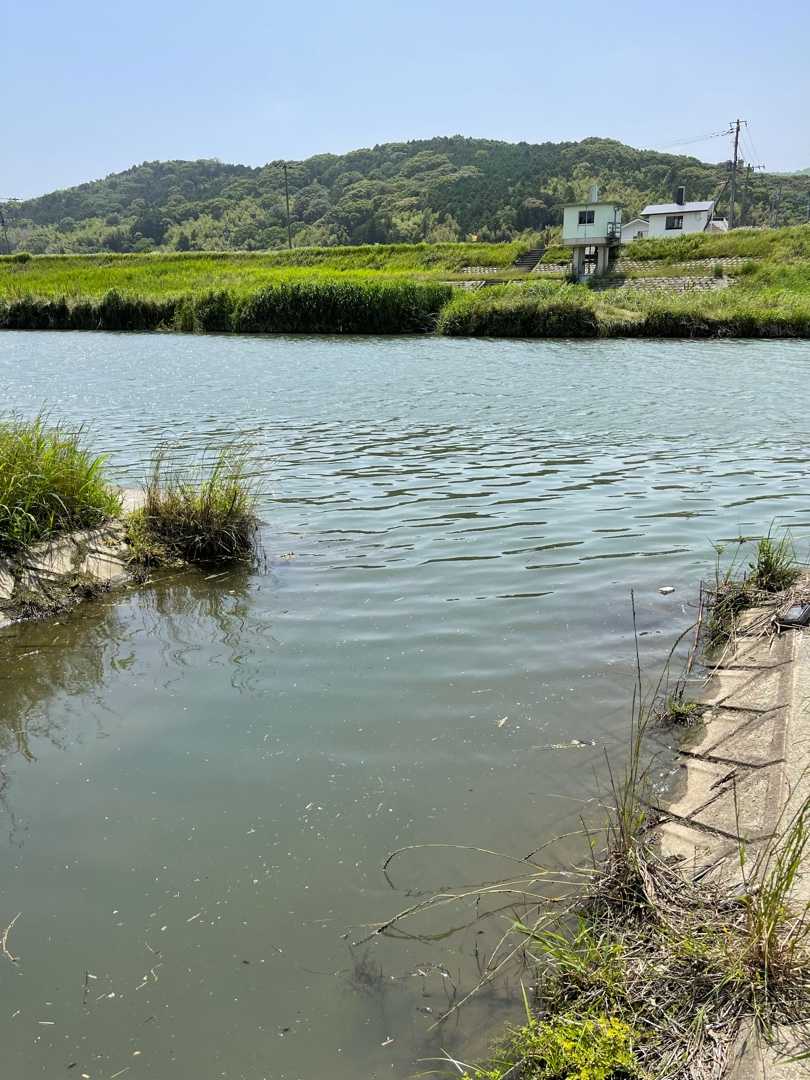 犬鳴き川 遠賀川支流 福岡県佐賀県バス釣り情報 楽天ブログ