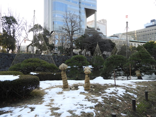 日比谷公園にて