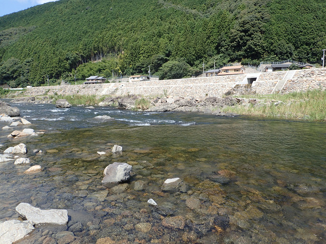 resize0006.jpg
