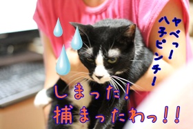画像 011.jpg