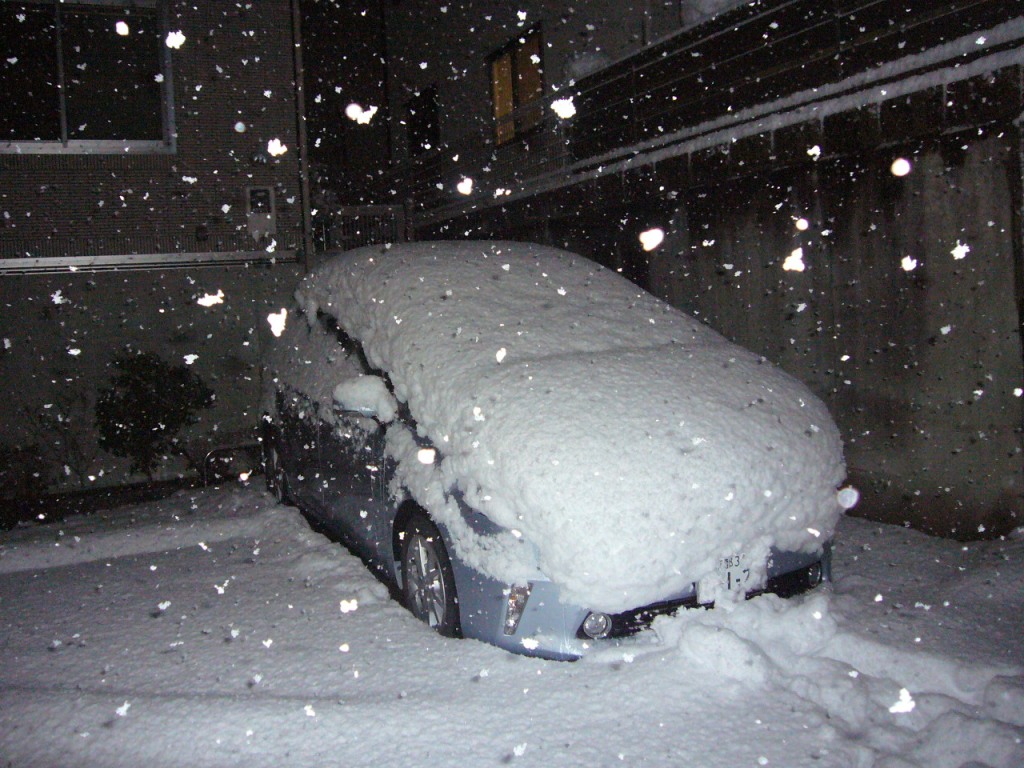 P1170360-.jpg
