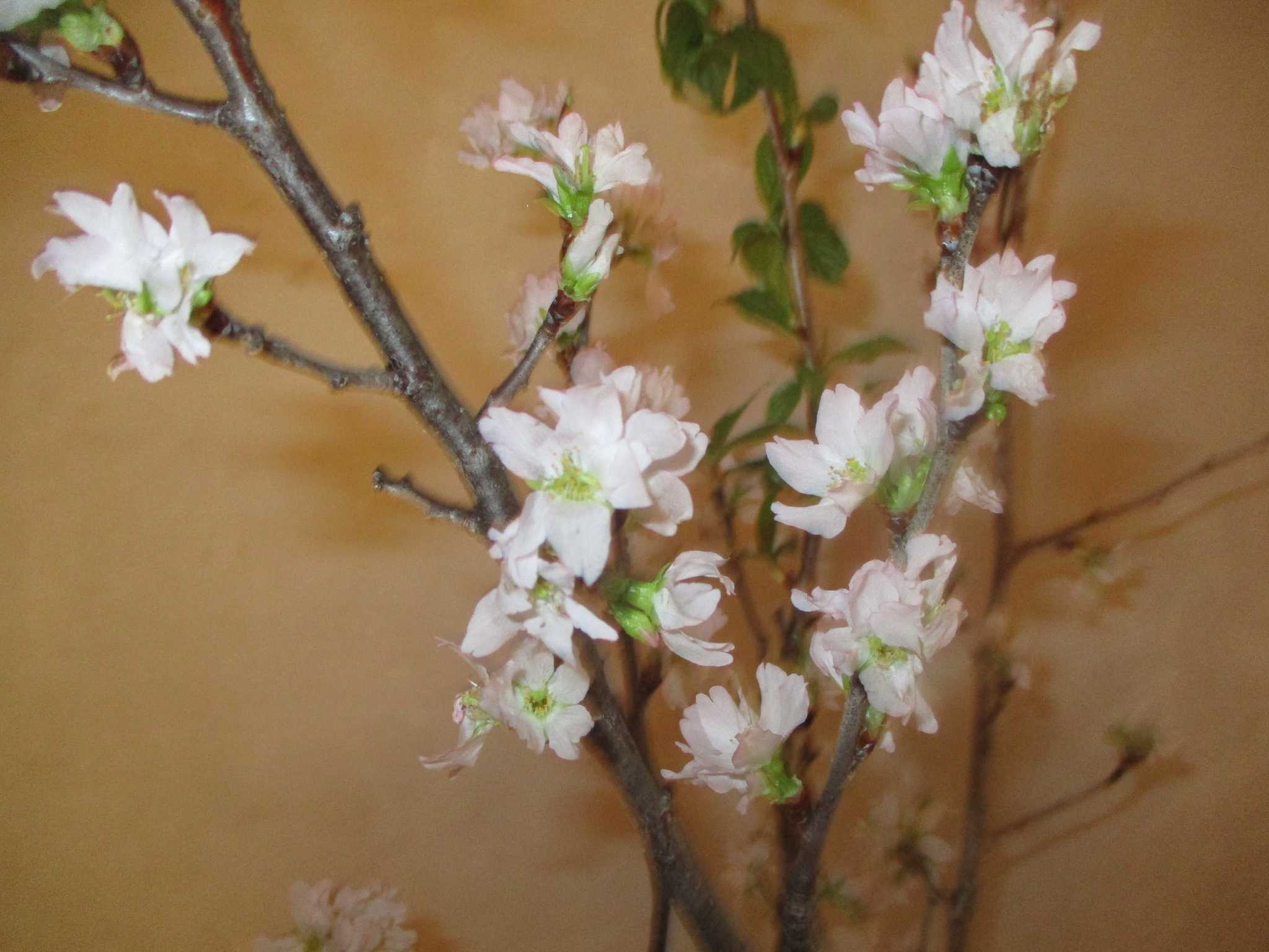 晴　陶　句　読