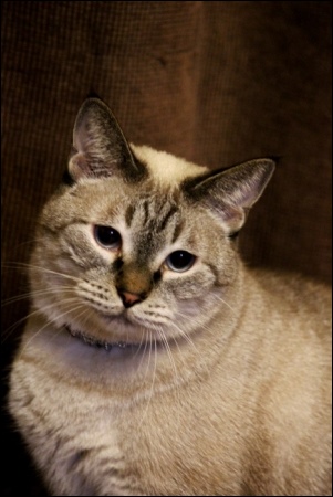 東京旅行-129 龍馬くん-2 13.10.5