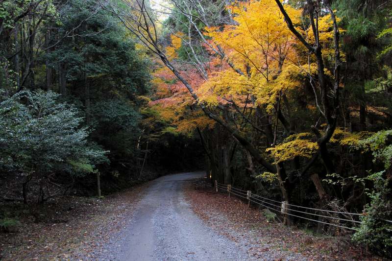 春日山_4-2.jpg