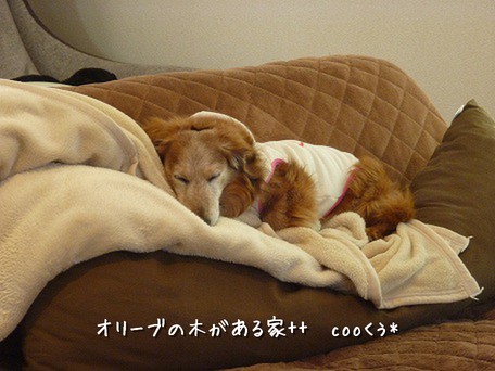 ねるくう.jpg