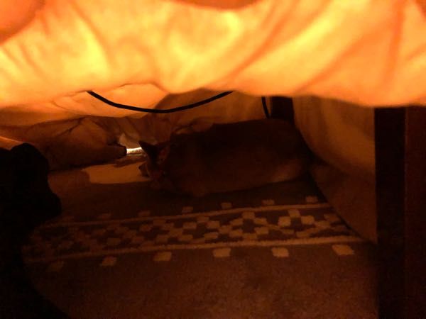 rblog-20190106110025-01.jpg