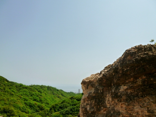 103 (500x375).jpg