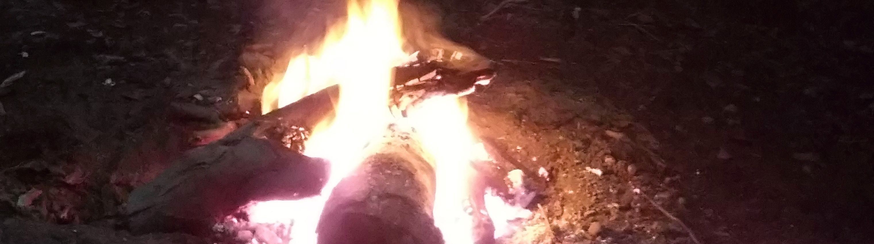 5ページ目の記事一覧 みみずの部屋 楽天ブログ