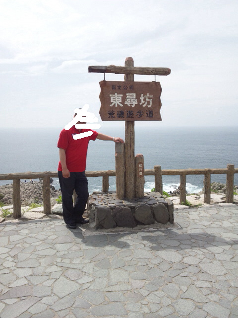 東尋坊林