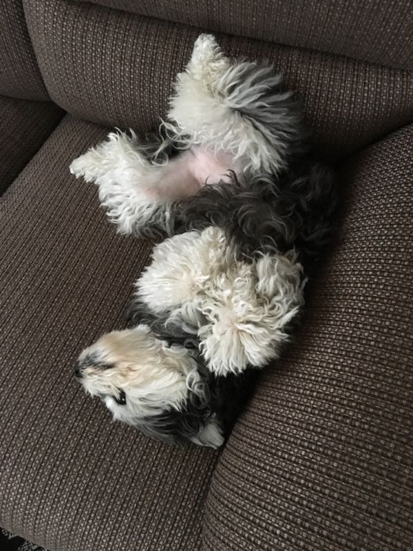 rblog-20180530231725-02.jpg