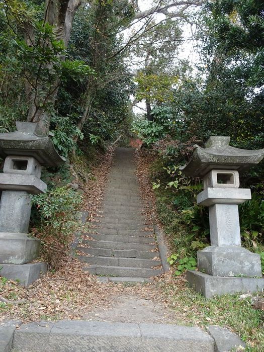 晩秋の鎌倉紅葉巡り 鶴岡八幡宮 源頼朝の墓 島津忠久 大江広元 北条義時の墓 Jinさんの陽蜂農遠日記 楽天ブログ