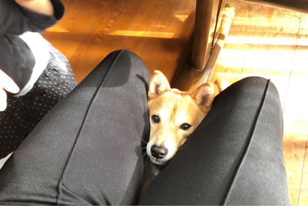 rblog-20190103001710-01.jpg