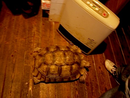 120401_173547.jpg