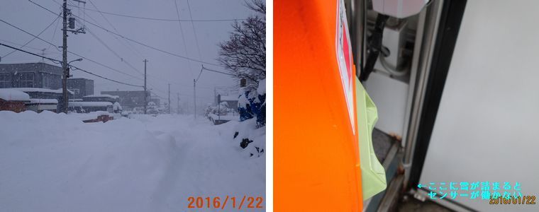 １／２２いよいよ降り出した.jpg