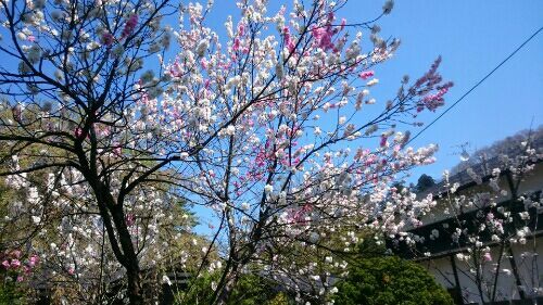 rblog-20170504234435-01.jpg
