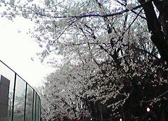鎌ケ谷2