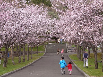 P1030433.jpg