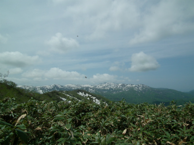 DSCF4559.jpg