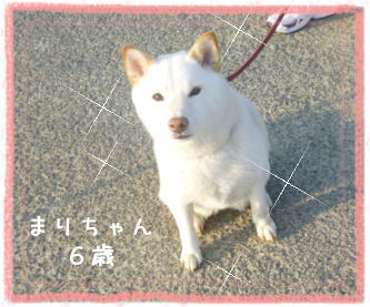 0423朝3.jpg