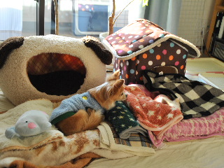 SSC_5051.JPG