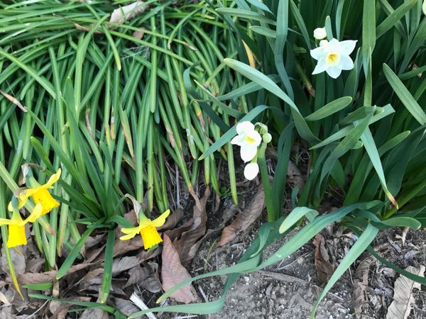 rblog-20180325184635-03.jpg