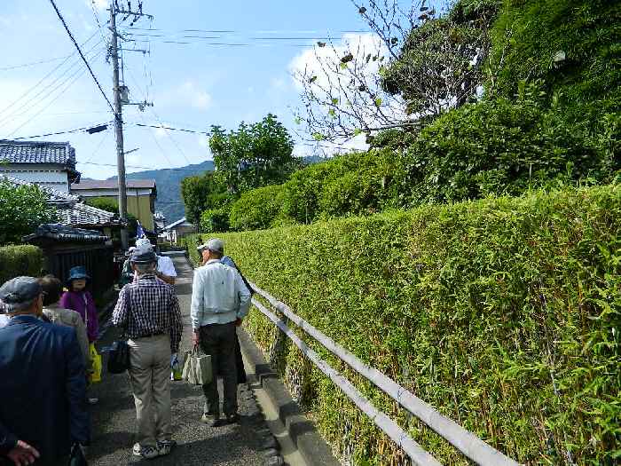 DSCN4708.JPG