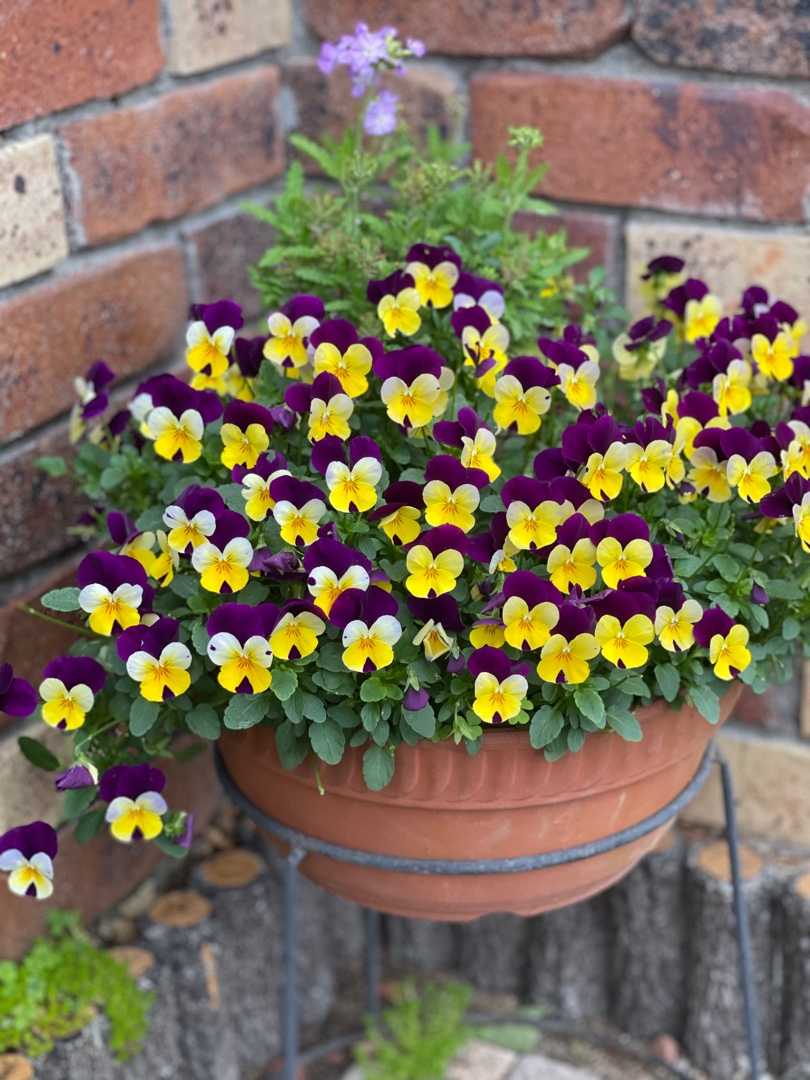 かごバッグはいつから持ちますか すてきな時間 楽天ブログ