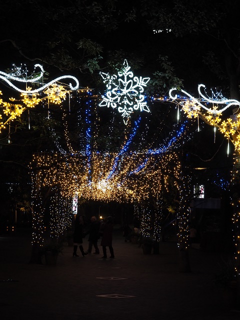 P1090248.JPG