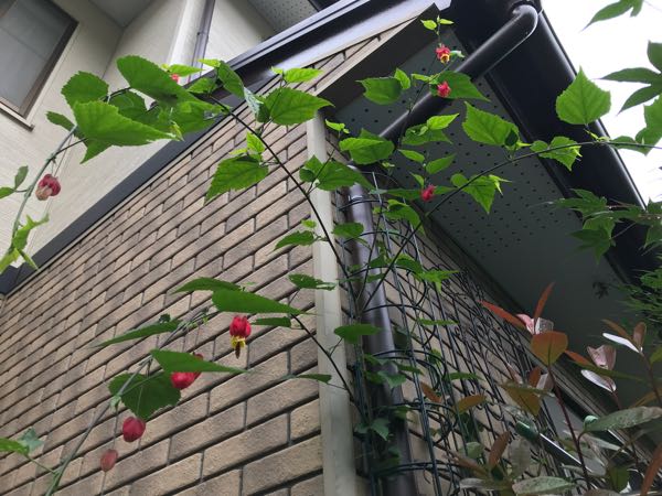 rblog-20180624175900-01.jpg