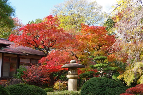 小石川後楽園