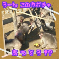 さるといもB.jpg
