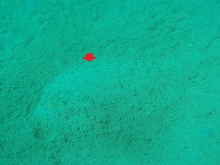 PA279680.JPG