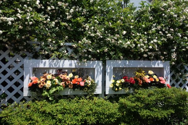 rblog-20180504205240-01.jpg
