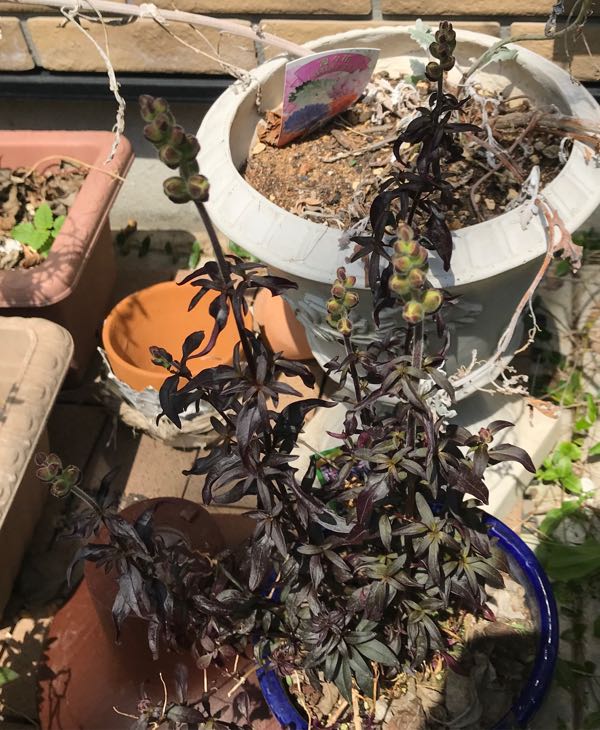 rblog-20190423181829-05.jpg