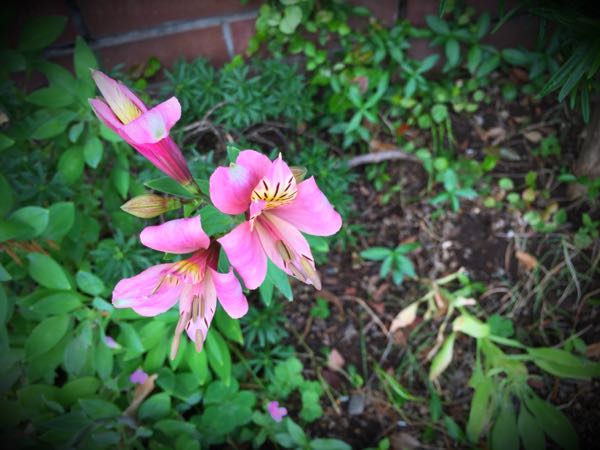 rblog-20160528224739-08.jpg