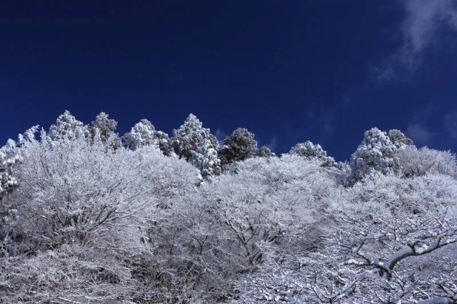 金剛山_06.jpg