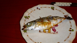 DSC_0065.jpg