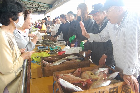 s-DSC_0608.jpg