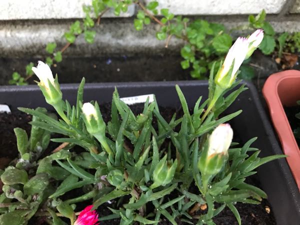 rblog-20180328191417-06.jpg