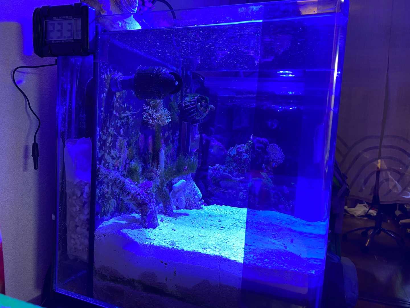 チンコ水槽07 目隠し待機 ありえないありえる水槽を作りたい ヲカマの日記 楽天ブログ