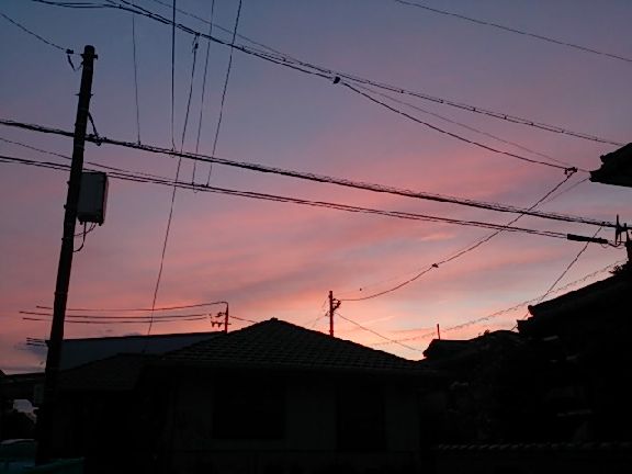 オレンジ色にそまる。