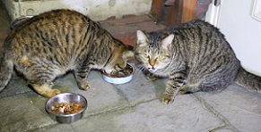 5DA_0247-20.jpg