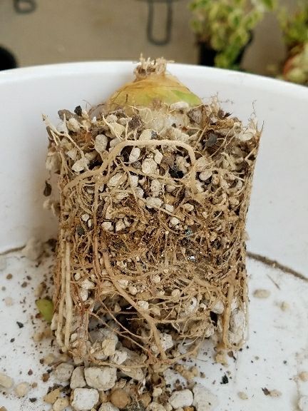 rblog-20180425112839-03.jpg