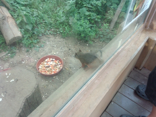 IMG_20130715_170036.jpg